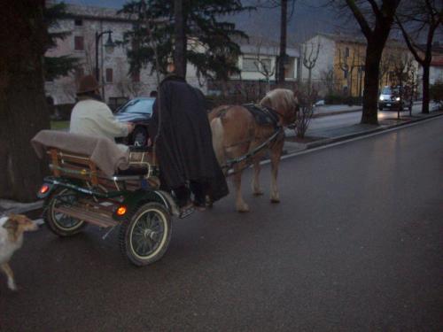 Benedizione animali Piobbico 2010