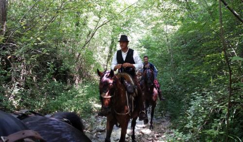 Passeggiata 3 e 4 agosto 2014