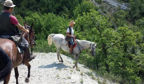 20140802_113135