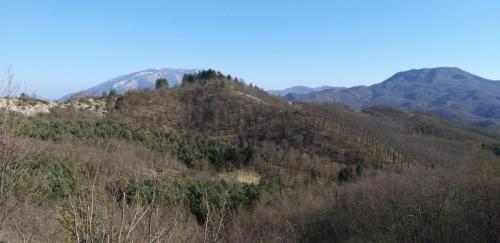 20190330_155607
