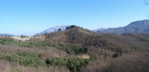 20190330_155609