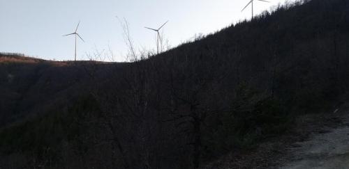20190330_175521