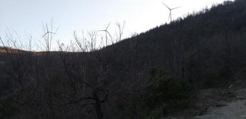 20190330_175522