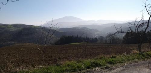 20190331_093835