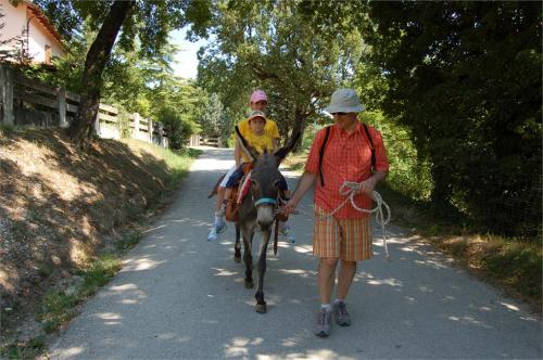 Monte Montiego con asini
