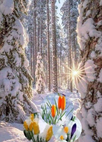 FB_IMG_1613833855753