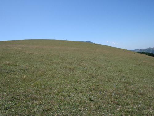 Image24