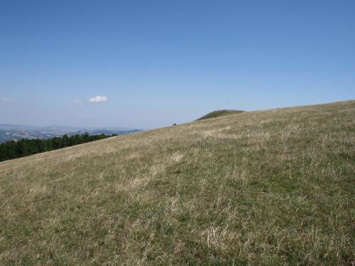 Image31