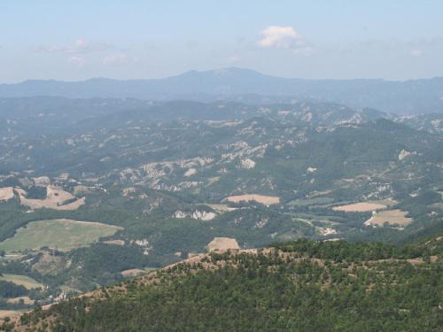 Image35