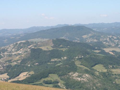 Image36