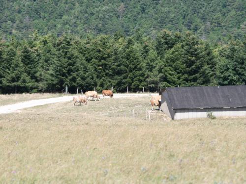 Image37
