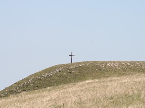 Image39