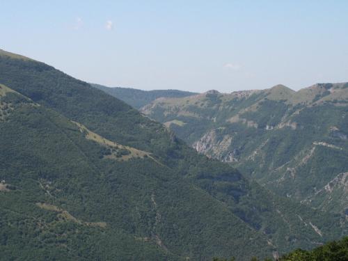 Image61