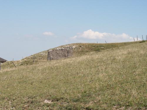 Image64