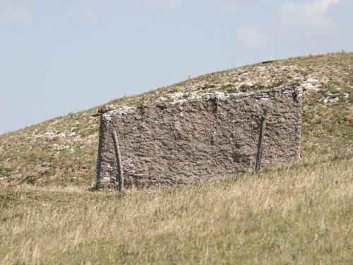 Image65
