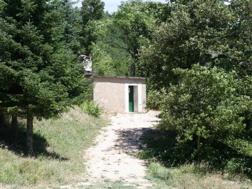 Image67