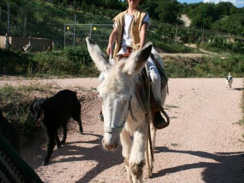 Immagine 191