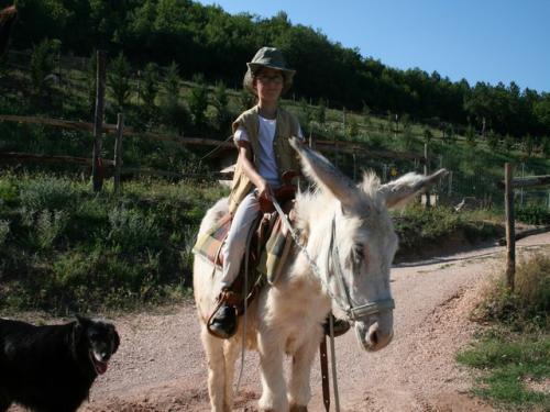 Immagine 194