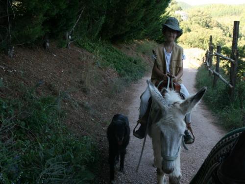 Immagine 235