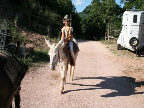 Immagine 247