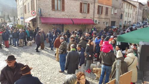 Benedizione Animali Pianello 16 e 17 gennaio 2016